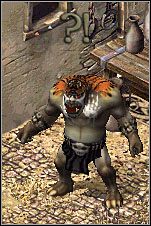 Ruiny przytułku znajdują się na zachód od Khorad-Nur - Misje 53-54 | Akt II | Sacred - Sacred - poradnik do gry