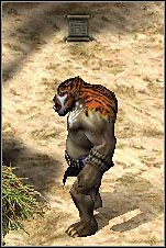 Musisz dostać się do Braverock i tam poszukać śladów księcia Valora - Misje 57-59 | Akt III | Sacred - Sacred - poradnik do gry