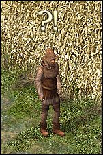 Farma Rogera została zaatakowana przez pająki - Misje 57-59 | Akt III | Sacred - Sacred - poradnik do gry