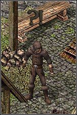 Kapłani zamieszkują wieżę w północnej części miasta - Misje 60-62 | Akt III | Sacred - Sacred - poradnik do gry