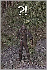 Zespół Mrocznych Elfów, który musisz pozbawić życia, znajduje się na północny-wschód od zleceniodawcy - Misje 76-79 | Akt III | Sacred - Sacred - poradnik do gry