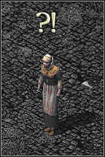 Udaj się na północny-wschód - Misje 80-82 | Akt III | Sacred - Sacred - poradnik do gry