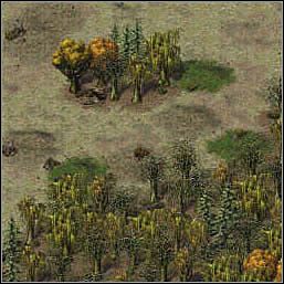 2 - Misje 89-90 | Akt III | Sacred - Sacred - poradnik do gry