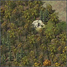 Na północny-zachód od ruin znajduje się jaskinia, a w niej rezyduje druga bestia (pająk) - Misje 89-90 | Akt III | Sacred - Sacred - poradnik do gry