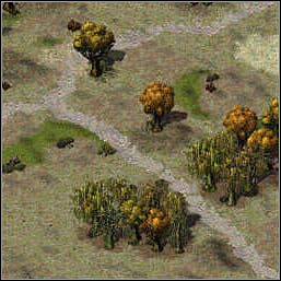 2 - Misje 86-87 | Akt III | Sacred - Sacred - poradnik do gry