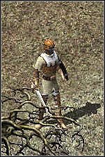 Aby zwerbować trzeciego, musisz pójść jeszcze dalej na południowy zachód, aż do samej rzeki - Misje 86-87 | Akt III | Sacred - Sacred - poradnik do gry