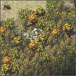 2 - Misje 91-94 | Akt III | Sacred - Sacred - poradnik do gry