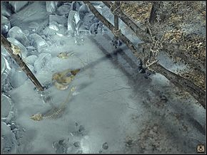 163 - Wioska Youkoli (3) | Solucja Syberia II - Syberia II - opis przejścia - poradnik do gry