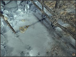 5 - Wioska Youkoli (5) | Solucja Syberia II - Syberia II - opis przejścia - poradnik do gry