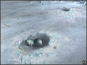 6 - Wyspa Pingwinów (1) | Solucja Syberia II - Syberia II - opis przejścia - poradnik do gry