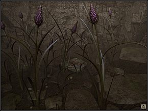 232 - Syberia (1) | Solucja Syberia II - Syberia II - opis przejścia - poradnik do gry