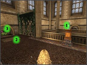 1 - Egzamin końcowy Draconicofors-Lapifors | Solucja Harry Potter i Więzień Azkabanu - Harry Potter i Więzień Azkabanu - poradnik do gry