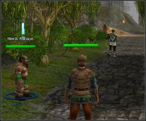 Oprócz tego możesz przystąpić do kilku pobocznych questów - 5.3 [ROZDZIAŁ 1] Greyfell cz.3 | SpellForce Zakon Świtu - SpellForce: Zakon Świtu - poradnik do gry