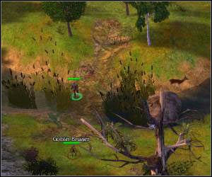 Ruszaj na wschód, w oddali powinieneś zauważyć wioskę - 5.4 [ROZDZIAŁ 1] Liannon cz.1 | SpellForce Zakon Świtu - SpellForce: Zakon Świtu - poradnik do gry