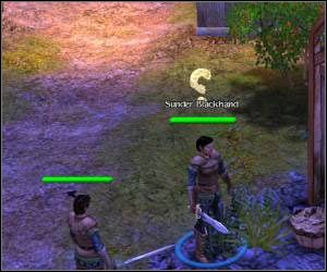 Jeżeli zdobyłeś jakieś lepsze runa to możesz je podmienić z tymi, które już masz - 5.4 [ROZDZIAŁ 1] Liannon cz.2 | SpellForce Zakon Świtu - SpellForce: Zakon Świtu - poradnik do gry