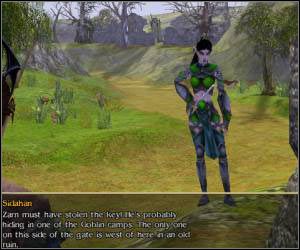 Dokładnie zbadaj północną polanę - 5.5 [ROZDZIAŁ 1] Eloni cz.1 | SpellForce Zakon Świtu - SpellForce: Zakon Świtu - poradnik do gry