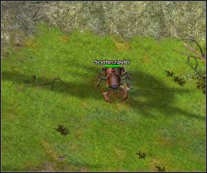 Idź dalej na wschód - 5.6 [ROZDZIAŁ 1] Leafshade cz.3 | SpellForce Zakon Świtu - SpellForce: Zakon Świtu - poradnik do gry