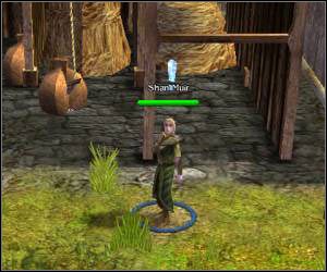 Powinieneś pojawić się przy monumencie, wykorzystaj go do przywołania pozostałych członków drużyny - 5.7 [ROZDZIAŁ 1] The Shiel cz.1 | SpellForce Zakon Świtu - SpellForce: Zakon Świtu - poradnik do gry