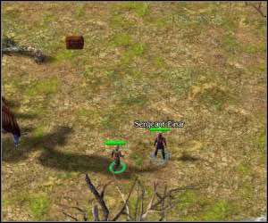 Niestety, najprawdopodobniej dojdzie do tego, że Twoje rozdziały zaczną chaotrycznie atakować wszystkie wrogie budynki - 5.6 [ROZDZIAŁ 1] Leafshade cz.4 | SpellForce Zakon Świtu - SpellForce: Zakon Świtu - poradnik do gry