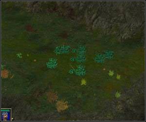 To dobry moment, aby zniszczyć dwa kolejne obozy - 5.7 [ROZDZIAŁ 1] The Shiel cz.5 | SpellForce Zakon Świtu - SpellForce: Zakon Świtu - poradnik do gry