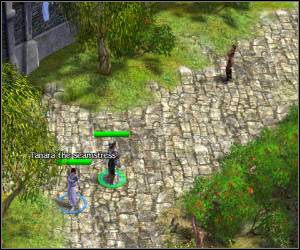 Wracaj do Bindstonea i teleportuj się do Greyfell (ostatniego ducha questu From The Deep zostawimy sobie na później) - 5.7 [ROZDZIAŁ 1] The Shiel cz.2 | SpellForce Zakon Świtu - SpellForce: Zakon Świtu - poradnik do gry