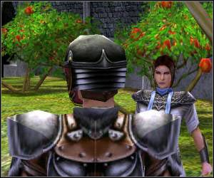 Od Tanary dowiesz się, że jedyną rzeczą, która może uratować szatę Tanarda jest jedwab kamiennego pająka - 5.7 [ROZDZIAŁ 1] The Shiel cz.2 | SpellForce Zakon Świtu - SpellForce: Zakon Świtu - poradnik do gry