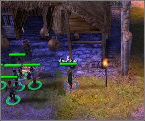 Porozmawiaj ze stojącym przy jednym ze wschodnich budynków Sunderem - 5.9 [ROZDZIAŁ 1] Icegate Marsh - Pozostałe questy cz.3 | SpellForce Zakon Świtu - SpellForce: Zakon Świtu - poradnik do gry