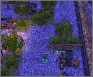 Zacznij od odszukania Sentosa - 5.9 [ROZDZIAŁ 1] Icegate Marsh - Pozostałe questy cz.4 | SpellForce Zakon Świtu - SpellForce: Zakon Świtu - poradnik do gry