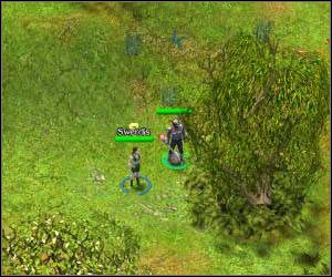 Jeśli przeniosłeś się do wioski elfów, to od razu będziesz mógł zaliczyć quest dla Swerdis, która stoi na południe od Bindstonea - 5.9 [ROZDZIAŁ 1] Icegate Marsh - Pozostałe questy cz.4 | SpellForce Zakon Świtu - SpellForce: Zakon Świtu - poradnik do gry