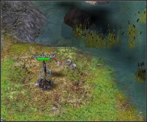 Joshua, człowiek, którego poszukujesz stoi na północ od miejsca, w którym swój obóz miały bestie - 5.11 [ROZDZIAŁ 2] Southern Windwalls cz.2 | SpellForce Zakon Świtu - SpellForce: Zakon Świtu - poradnik do gry