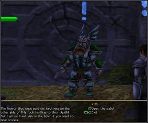 Po dotarciu do bramy zagadaj do Joshuy a następnie strażnika - 5.11 [ROZDZIAŁ 2] Southern Windwalls cz.2 | SpellForce Zakon Świtu - SpellForce: Zakon Świtu - poradnik do gry