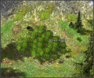 Schemat rozbudowy wioski powinieneś mieć już wyuczony na pamięć - 5.12 [ROZDZIAŁ 2] Stoneblade Mountain cz.1 | SpellForce Zakon Świtu - SpellForce: Zakon Świtu - poradnik do gry