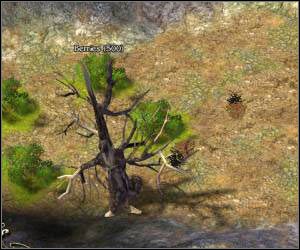 Wybierz całą armię i skieruj ją na wschód (południowa ścieżka) - 5.16 [ROZDZIAŁ 2] Godwall cz.1 | SpellForce Zakon Świtu - SpellForce: Zakon Świtu - poradnik do gry