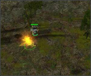 Jeśli chcesz możesz porozglądać się trochę po okolicy - 5.22 [ROZDZIAŁ 3] Nightwhisper Dale cz.1 | SpellForce Zakon Świtu - SpellForce: Zakon Świtu - poradnik do gry