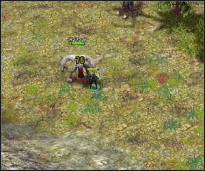 Wybierz samego bohatera, kieruj się na północ trzymając jednocześniego wschodniego brzegu planszy - 5.22 [ROZDZIAŁ 3] Nightwhisper Dale cz.3 | SpellForce Zakon Świtu - SpellForce: Zakon Świtu - poradnik do gry