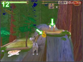 Zbierz monety pokazane na obrazku [11] , które wskazuje prawa strzałka - [POZIOM 03] The Hunt cz.2 | Shrek 2 The Game - Shrek 2: The Game - poradnik do gry