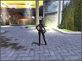 1 - Mansion Grounds (1) | Scena 7 | Catwoman - Catwoman - poradnik do gry