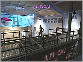 3 - Mansion Grounds (3) | Scena 7 | Catwoman - Catwoman - poradnik do gry