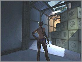 3 - Mansion Grounds (4) | Scena 7 | Catwoman - Catwoman - poradnik do gry