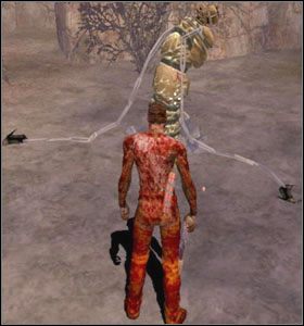 Burrower - porusza się pod ziemią - [Opis wrogów] Burrower, Fester, Inferna, Doctor Killjoy - The Suffering - poradnik do gry