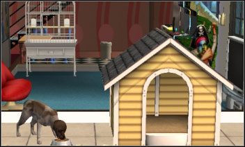 O zwierzaki trzeba dbać - Potrzeby zwierząt | Zwierzaki | The Sims 2 - The Sims 2 - Pełna Kolekcja - poradniki