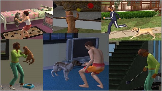 Ze zwierzakiem trzeba się bawić, wydawać mu polecenia, uczyć go - Potrzeby zwierząt | Zwierzaki | The Sims 2 - The Sims 2 - Pełna Kolekcja - poradniki