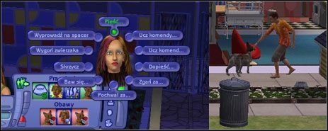 Uczenie komend zwierząt wymaga wiele cierpliwości, ale ich opanowanie jest z kolei niezbędne, nie tylko do życia codziennego, ale też kariery zawodowej - Zachowania, tresura i interakcje | Zwierzaki | The Sims 2 - The Sims 2 - Pełna Kolekcja - poradniki