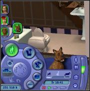 1 - Praca oraz kariera zwierząt | Zwierzaki | The Sims 2 - The Sims 2 - Pełna Kolekcja - poradniki