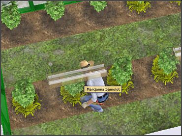 Zatrudniony ogrodnik może się też teraz zajmować pielęgnacją sadzonych przez gracza roślinek. - Podstawowe założenia | The Sims 2 - The Sims 2 - Pełna Kolekcja - poradniki