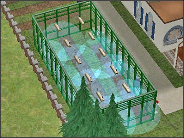 Tak może wyglądać przykładowa szklarnia. Uwaga! Należy zadbać o to żeby przy drzwiczkach nie znajdowały się żadne niepotrzebne obiekty (także poletka)! - Szklarnie | The Sims 2 - The Sims 2 - Pełna Kolekcja - poradniki