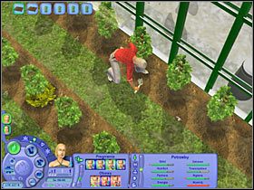 2 - Zraszacze | The Sims 2 - The Sims 2 - Pełna Kolekcja - poradniki
