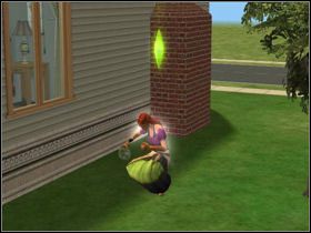 1 - Natura | The Sims 2 - The Sims 2 - Pełna Kolekcja - poradniki