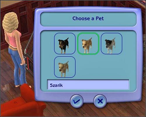 Podstawowe założenie, jakie przyświeca posiadaniu psa w bloku jest takie, że nie trzeba się zbytnio martwić o zwierzaka ani spędzać z nim dużo czasu - Inne atrakcje | The Sims 2 - The Sims 2 - Pełna Kolekcja - poradniki