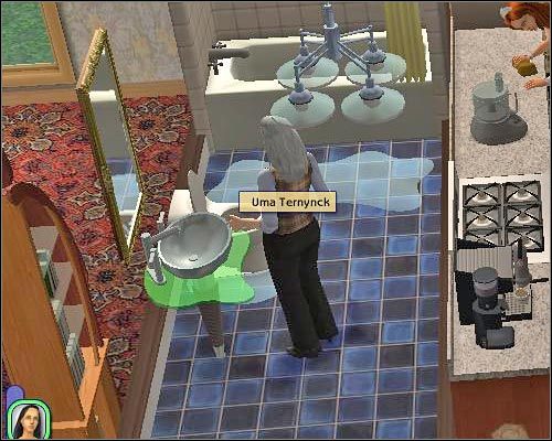 Napraw można dokonywać we własnym zakresie lub wystosować odpowiednią prośbę do gospodarza. - Inne atrakcje | The Sims 2 - The Sims 2 - Pełna Kolekcja - poradniki